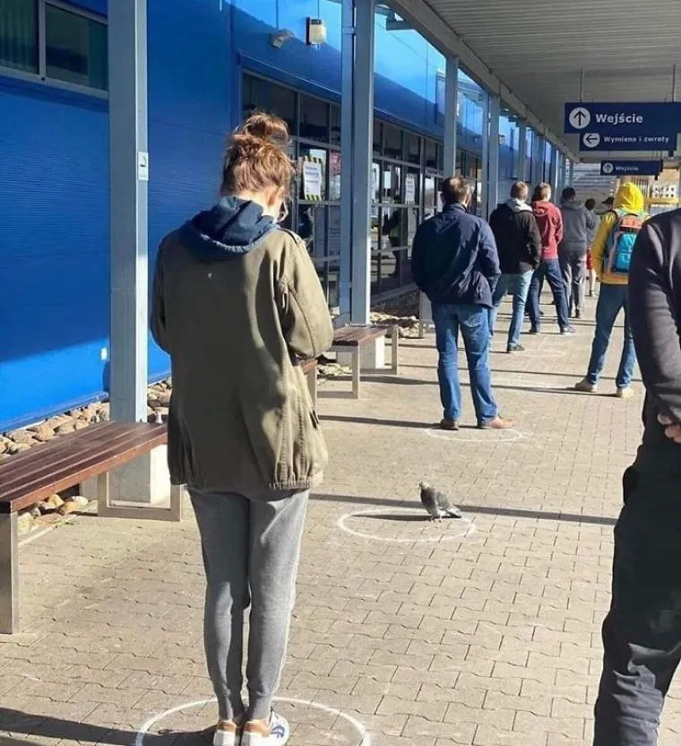 I LJUBIMCI IMAJU KRIZNI STOŽER?! Ekipa dijeli fotke životinja koje po&scaron;tuju socijalnu distancu, među njima i jednu iz Zagreba