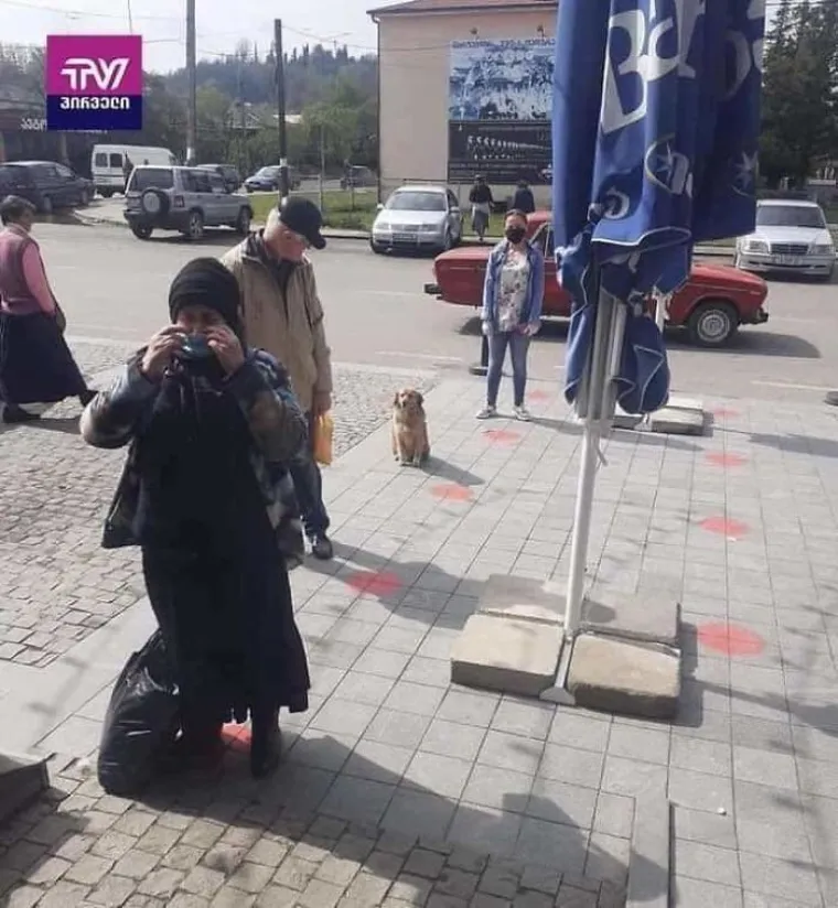 I LJUBIMCI IMAJU KRIZNI STOŽER?! Ekipa dijeli fotke životinja koje po&scaron;tuju socijalnu distancu, među njima i jednu iz Zagreba