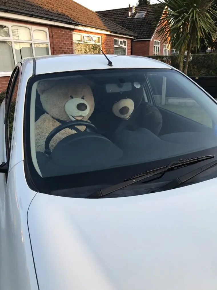 UVESELJAVAJU CIJELO SUSJEDSTVO U KARANTENI: Ted i Ed svaki dan marljivo rade u svom dvori&scaron;tu