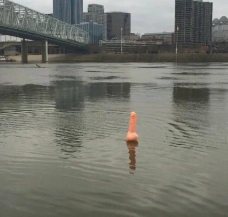 'Priroda živi, mi smo virus': Ove &scaron;ale traju jo&scaron; od dupina u Veneciji