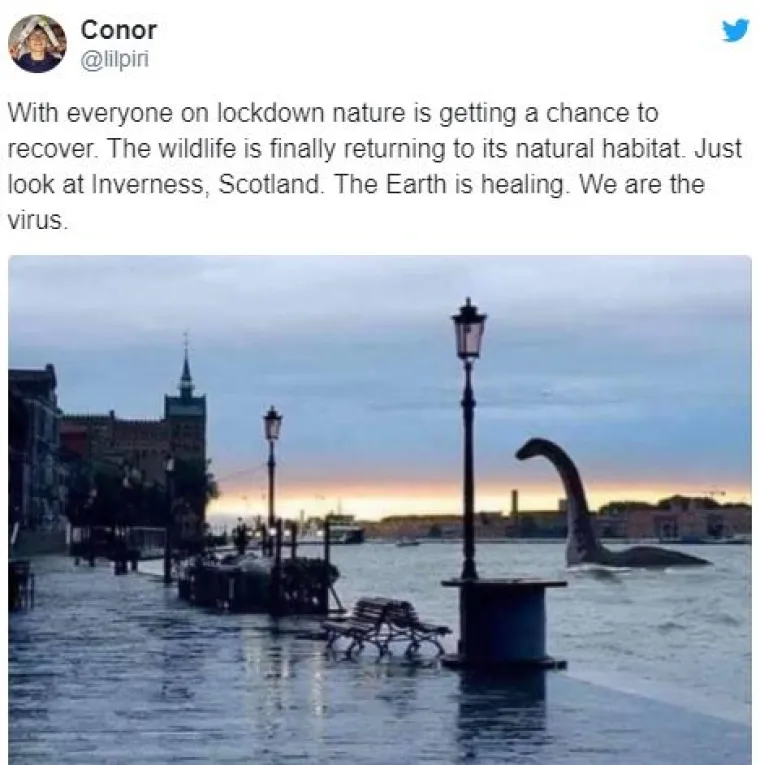 'Priroda živi, mi smo virus': Ove &scaron;ale traju jo&scaron; od dupina u Veneciji