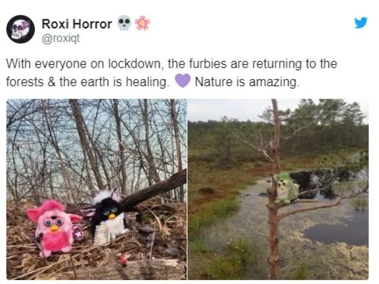 'Priroda živi, mi smo virus': Ove &scaron;ale traju jo&scaron; od dupina u Veneciji