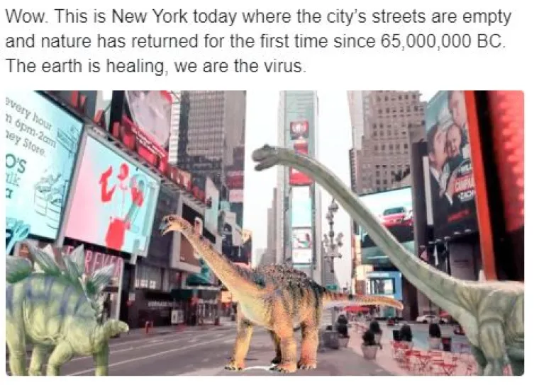 'Priroda živi, mi smo virus': Ove &scaron;ale traju jo&scaron; od dupina u Veneciji