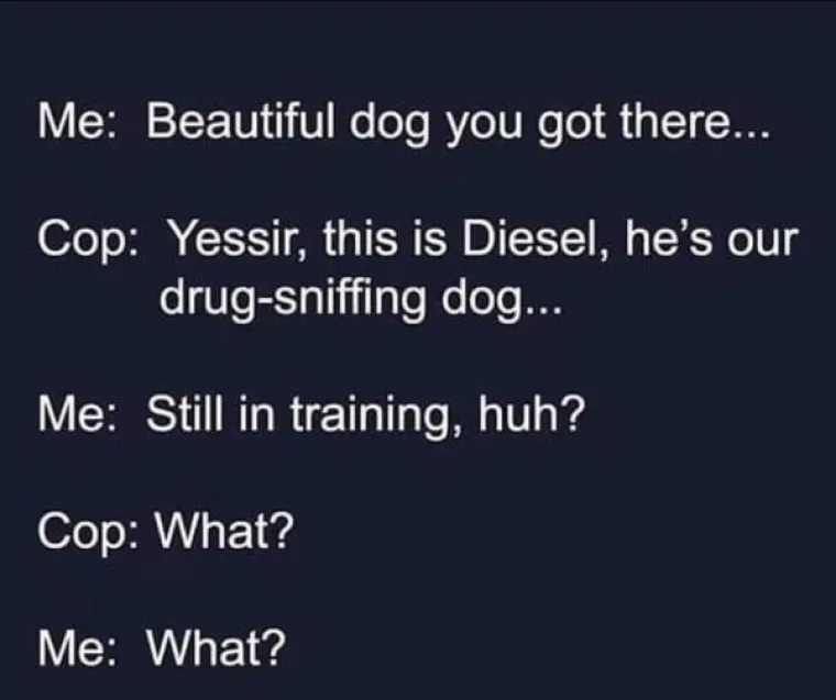 FOTKE KOJE ĆE BITI SMIJE&Scaron;NE SAMO ONIMA S POMAKNUTIM SMISLOM ZA HUMOR: Ajde, ajde, znamo da ste među njima