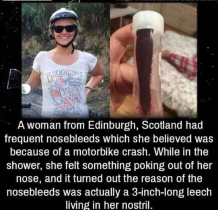 OVI PRIZORI BI VAS MOGLI ILI DUBOKO UZNEMIRITI ILI DOBRO NASMIJATI: Gledajte ih samo u stanju najveće nirvane