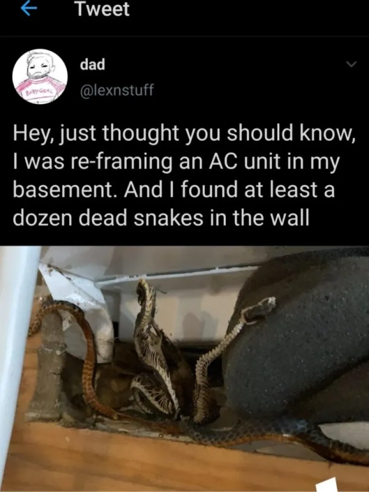 OVI PRIZORI BI VAS MOGLI ILI DUBOKO UZNEMIRITI ILI DOBRO NASMIJATI: Gledajte ih samo u stanju najveće nirvane