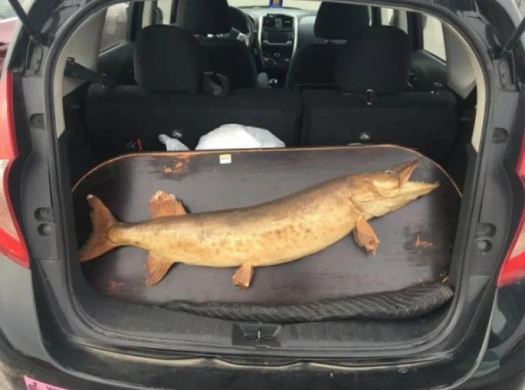 ONO KAD I SAM ISUS KAŽE 'WTF': Jedno je kupovati na sniženju, ali samo najhrabriji bi ovo uzeli - čak i da je besplatno