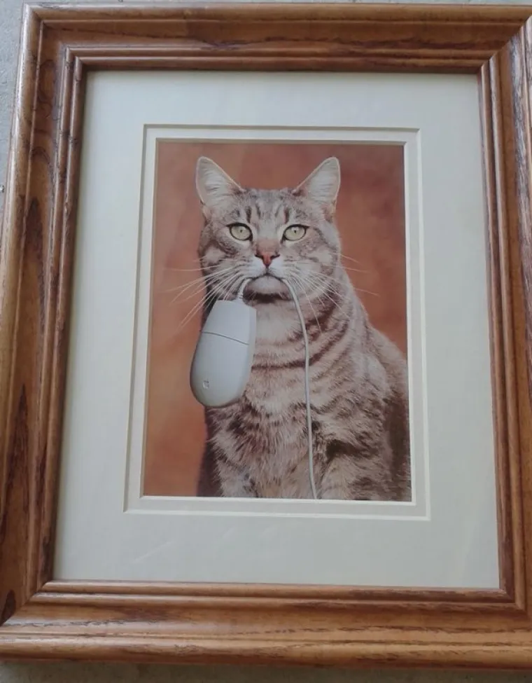 ONO KAD I SAM ISUS KAŽE 'WTF': Jedno je kupovati na sniženju, ali samo najhrabriji bi ovo uzeli - čak i da je besplatno