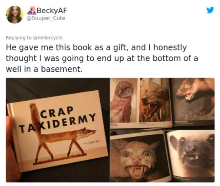 Poklonio mi je ovu knjigu i iskreno sam mislila da ću propasti u zemlju od srama