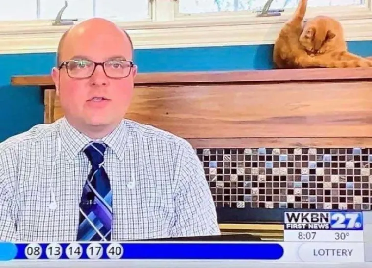 AKO VAM KARANTENA TE&Scaron;KO PADA, POGLEDAJTE KAKO JE NJIMA: Najveći pehisti kriju se u ovoj galeriji