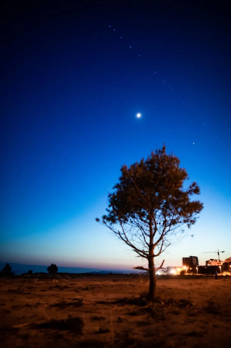 Starlink satelitska konstelacija od 60 satelita: Elon Musk nastavlja plan o pokrivenosti internetom