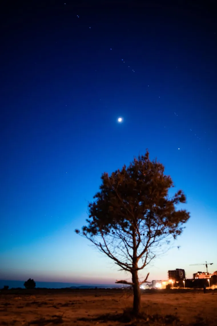 Starlink satelitska konstelacija od 60 satelita: Elon Musk nastavlja plan o pokrivenosti internetom