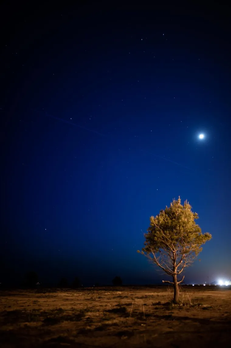 Starlink satelitska konstelacija od 60 satelita: Elon Musk nastavlja plan o pokrivenosti internetom