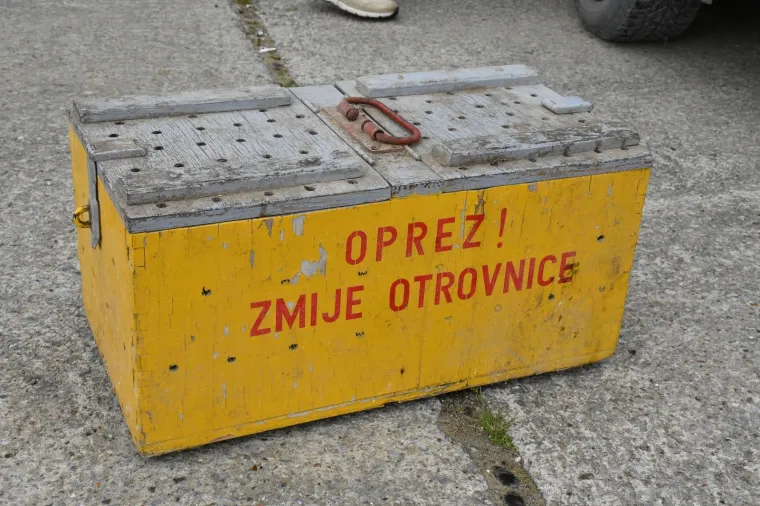 Najpoznatiji hrvatski zmijolovci u akciji: 'Evo uhvatili smo dvije riđovke i bjelou&scaron;ku!'