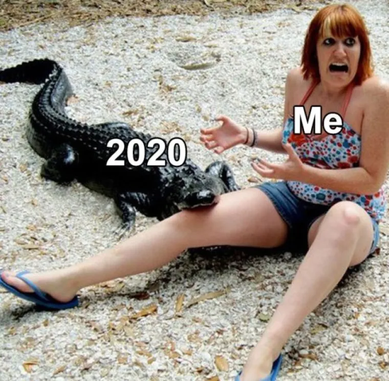 JESMO LI SE KONAČNO DOGOVORILI DA PONI&Scaron;TIMO 2020. GODINU? Ne? Ok, evo onda novih memova