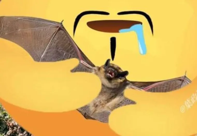 Ekipa se na internetu ne prestaje &scaron;aliti na račun novog emotikona 'podr&scaron;ke'