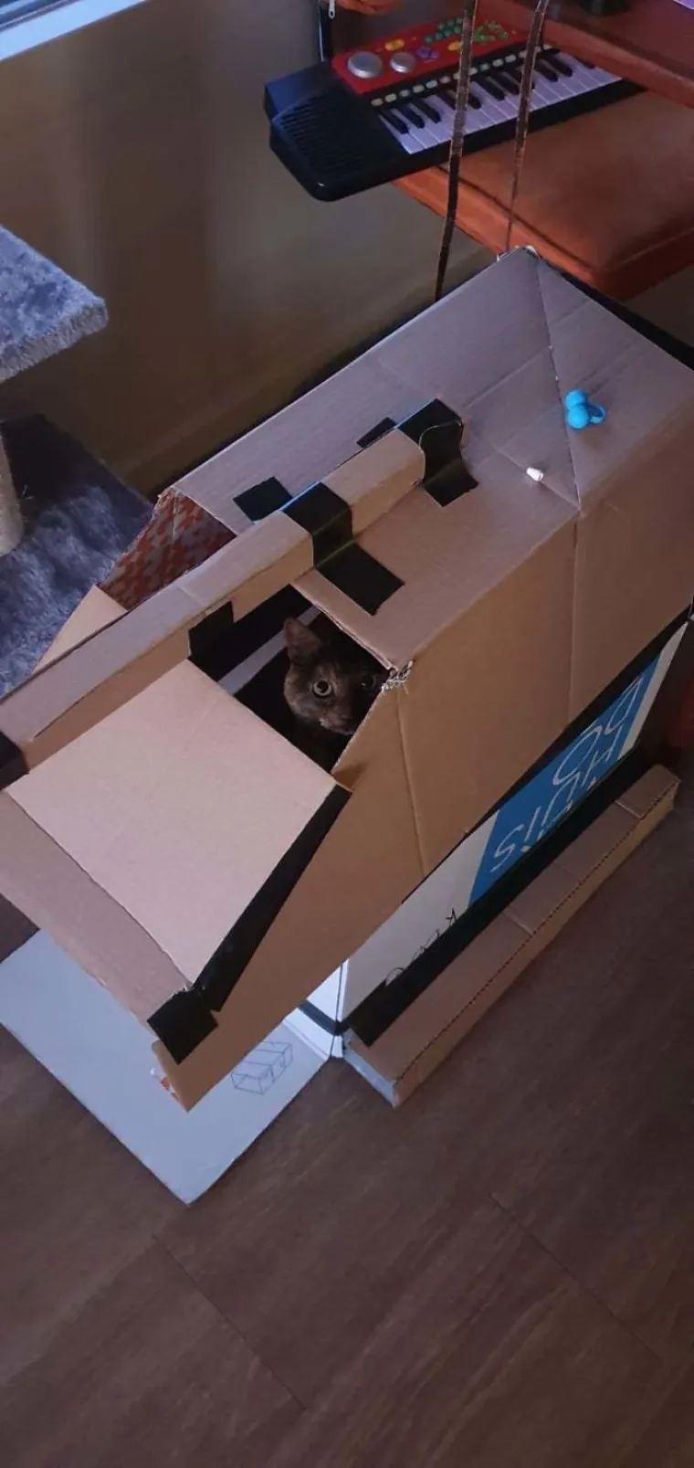 KAKO JE DOSADA RODILA OVE URNEBESNE PRIZORE: Da, ovo su mačke u tenkovima. Ne znamo zašto, ni kako, ali...