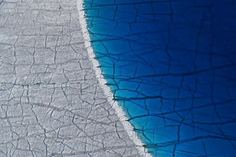 Zasluženi pobjednici: Ovo su najbolje fotografije prirode u 2020. godini