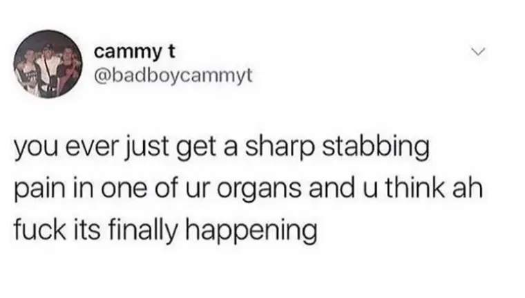 Osjetite li nekad o&scaron;tru bol u nekom organu i pomislite 'O sr*nje, napokon se događa'?