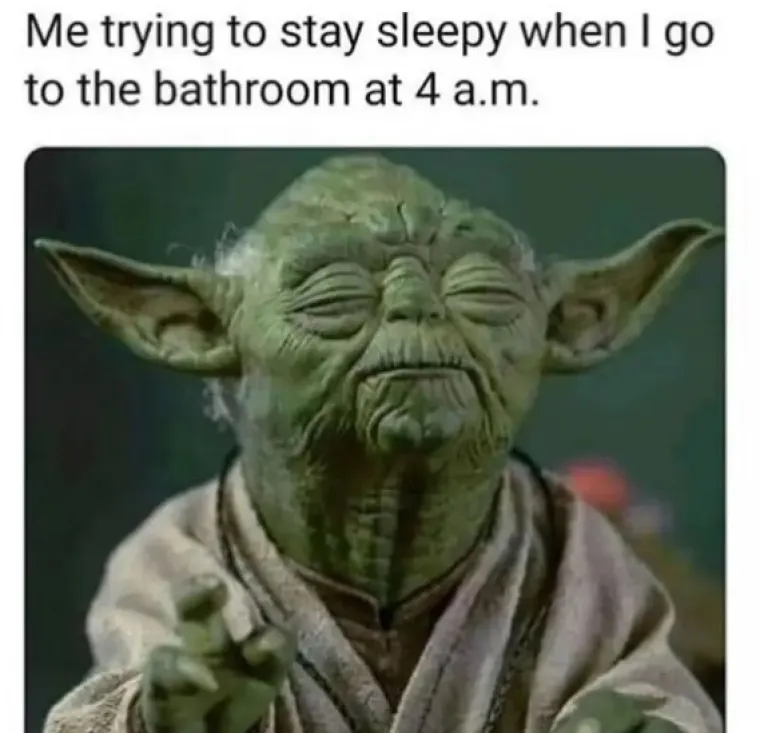 Kad poku&scaron;avam ostati pospan nakon &scaron;to odem na WC u 4 ujutro