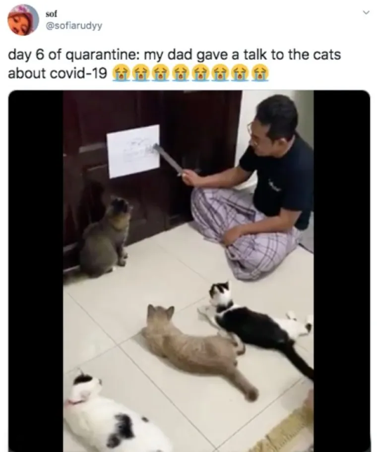 SVJETSKO PRVENSTVO U RASTURANJU DOSADE U IZOLACIJI: Ne znamo za vas, ali ovo su na&scaron;i favoriti