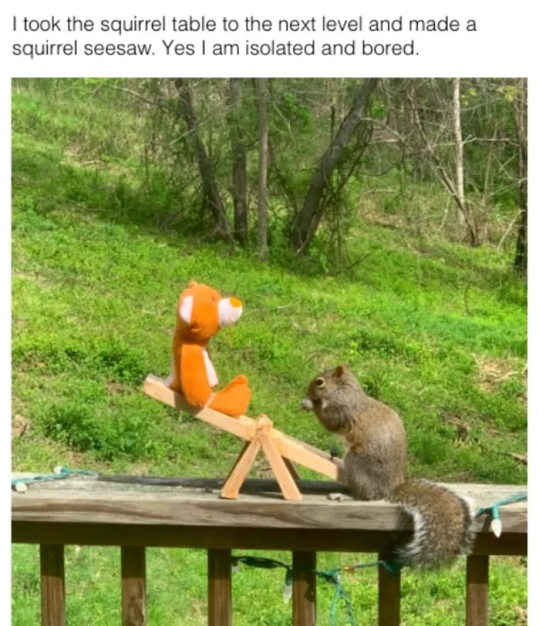 SVJETSKO PRVENSTVO U RASTURANJU DOSADE U IZOLACIJI: Ne znamo za vas, ali ovo su na&scaron;i favoriti