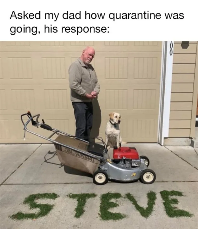 SVJETSKO PRVENSTVO U RASTURANJU DOSADE U IZOLACIJI: Ne znamo za vas, ali ovo su na&scaron;i favoriti