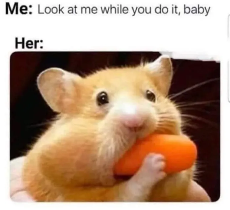 FOTKE S KOJIMA SE MOGU POISTOVJETITI SAMO ONI PRLJAVOG UMA: Ajde nemojte se sramiti, znamo da ih sve kužite