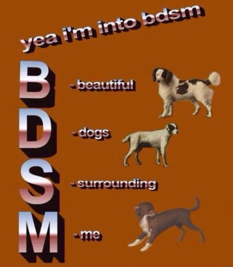 FOTKE S KOJIMA SE MOGU POISTOVJETITI SAMO ONI PRLJAVOG UMA: Ajde nemojte se sramiti, znamo da ih sve kužite