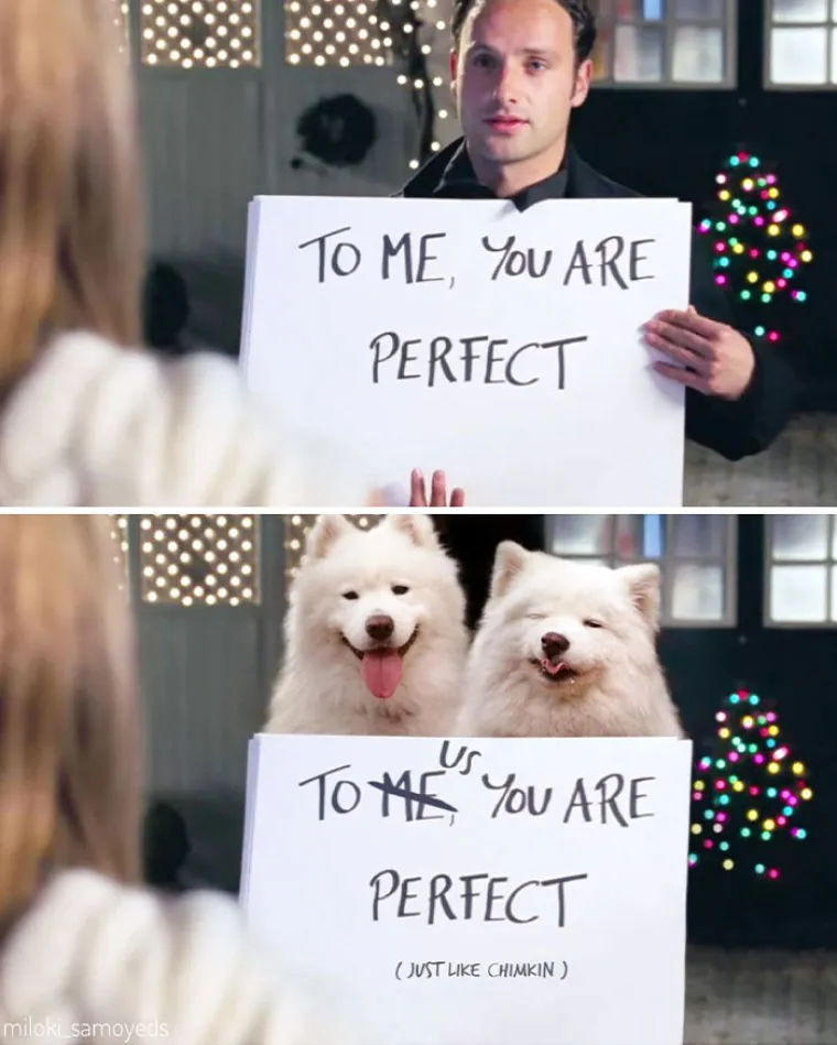 "Ovo je preslatko": Zamijenio glumce u poznatim filmskim scenama sa svojim psima