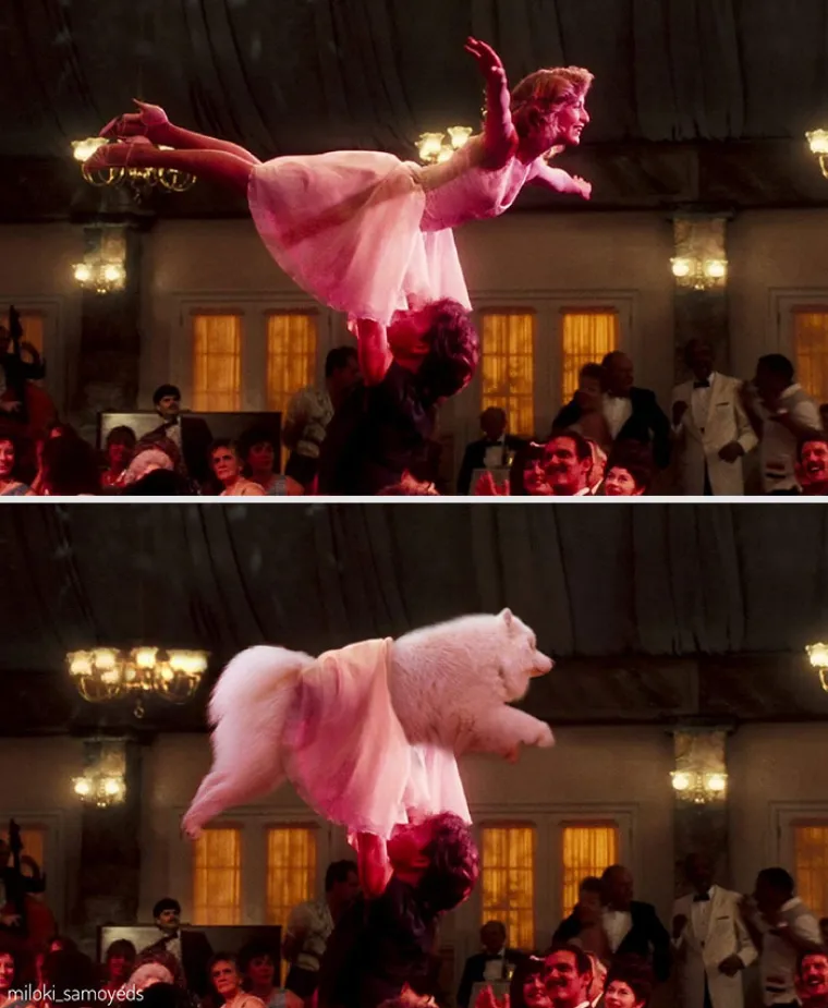 "Ovo je preslatko": Zamijenio glumce u poznatim filmskim scenama sa svojim psima