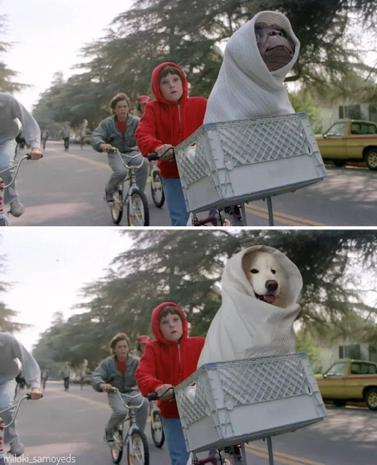 "Ovo je preslatko": Zamijenio glumce u poznatim filmskim scenama sa svojim psima