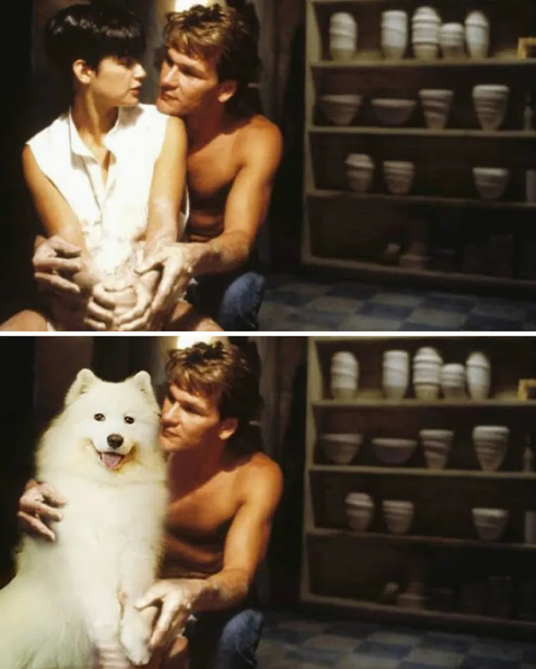 "Ovo je preslatko": Zamijenio glumce u poznatim filmskim scenama sa svojim psima