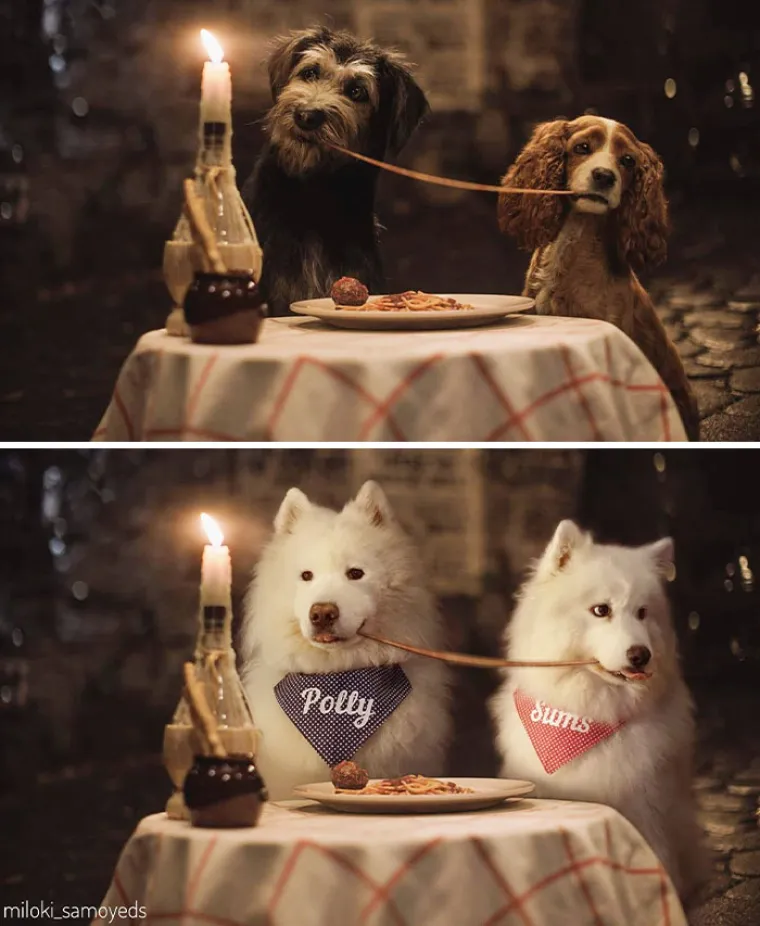 "Ovo je preslatko": Zamijenio glumce u poznatim filmskim scenama sa svojim psima