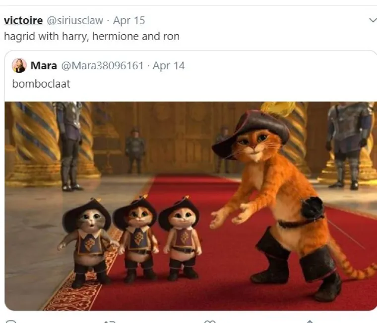 Hermiona: 'Nije koronavirus, nego korona virUUUs': Najbolji Harry Potter tweetovi