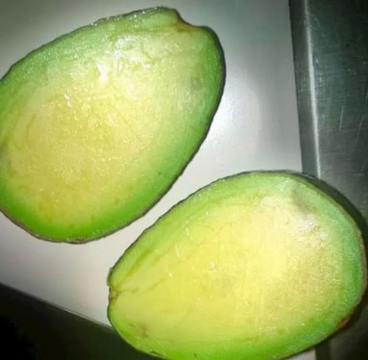 Uzgoji&scaron; 1, dobije&scaron; GMO gratis: Njima se posrećilo s domaćom hranom