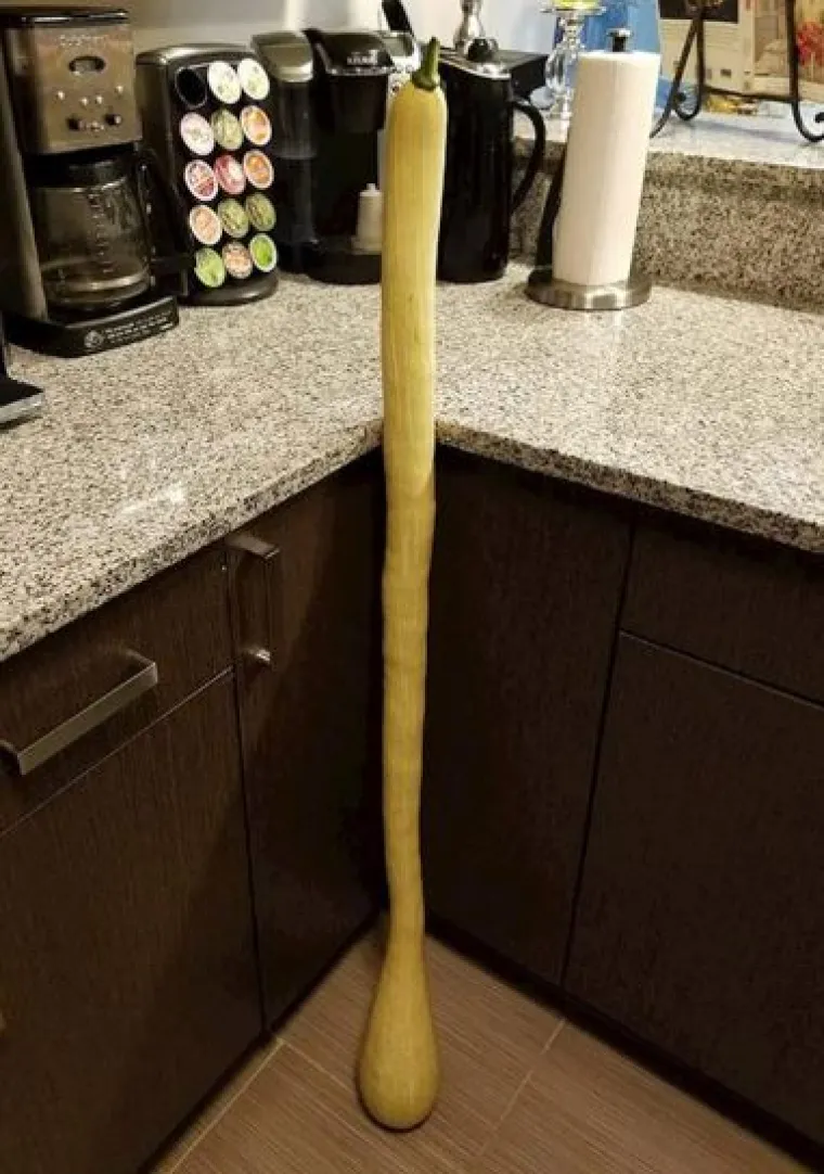 Uzgoji&scaron; 1, dobije&scaron; GMO gratis: Njima se posrećilo s domaćom hranom