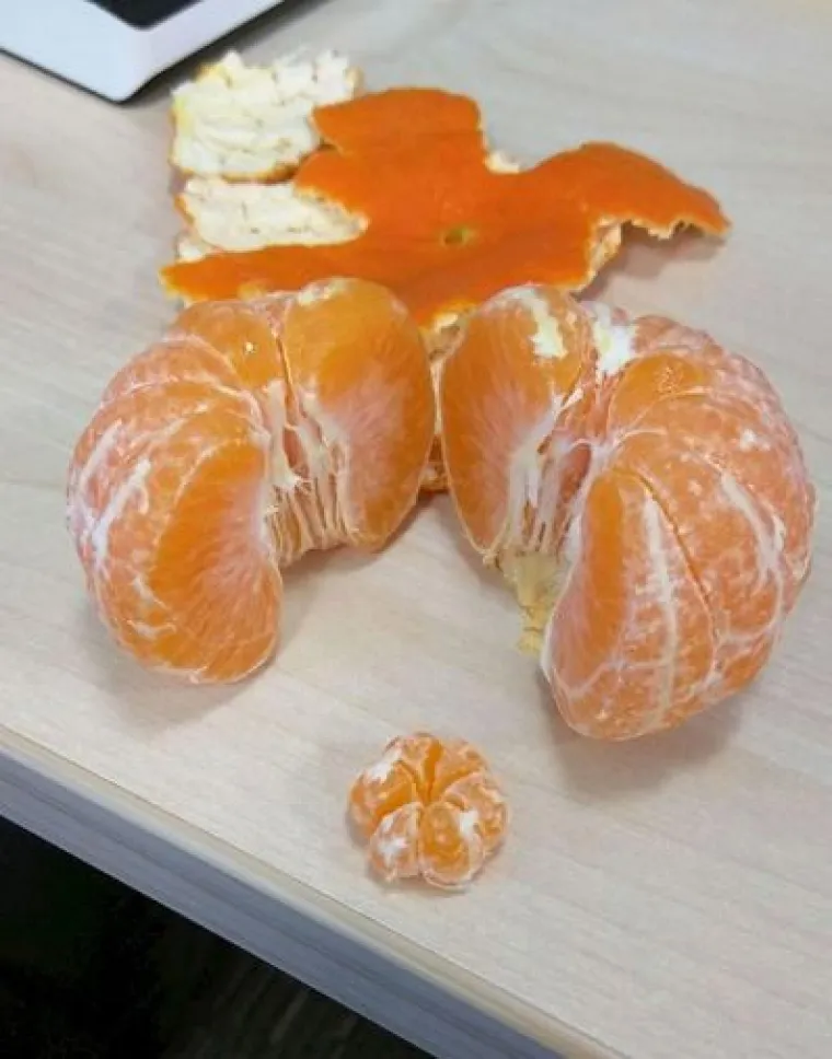 Uzgoji&scaron; 1, dobije&scaron; GMO gratis: Njima se posrećilo s domaćom hranom