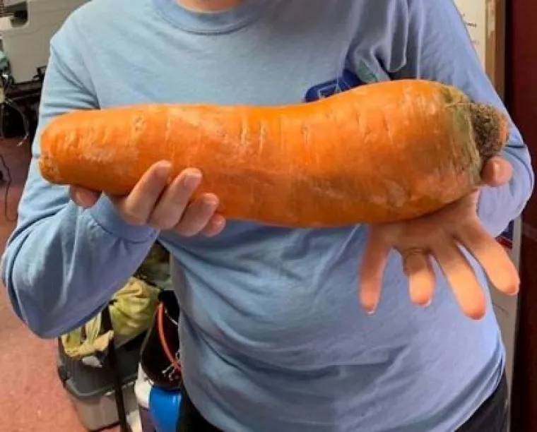 Uzgoji&scaron; 1, dobije&scaron; GMO gratis: Njima se posrećilo s domaćom hranom