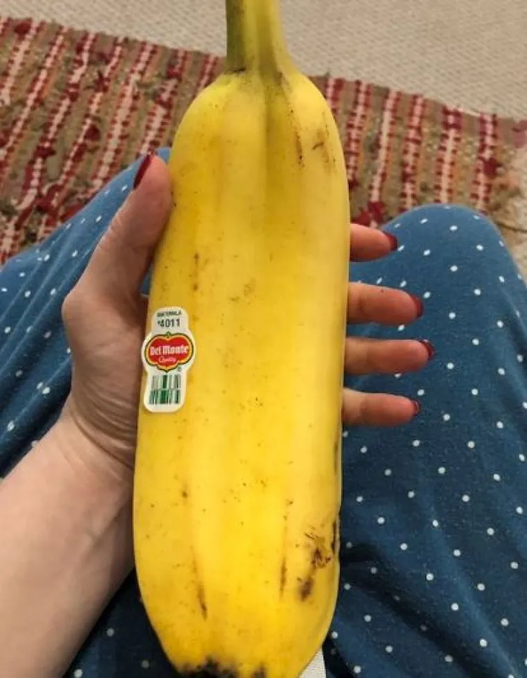 Uzgoji&scaron; 1, dobije&scaron; GMO gratis: Njima se posrećilo s domaćom hranom