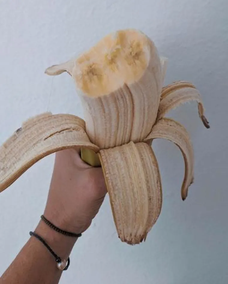 Uzgoji&scaron; 1, dobije&scaron; GMO gratis: Njima se posrećilo s domaćom hranom