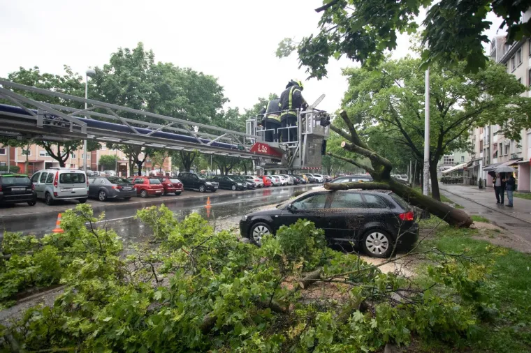 Vatrogasci imaju pune ruke posla: Nevrijeme sru&scaron;ilo stablo na parkirane aute u Zagrebu