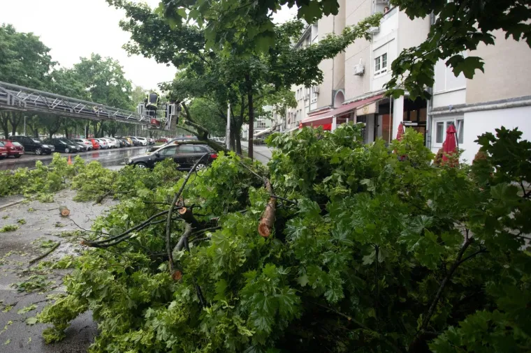 Vatrogasci imaju pune ruke posla: Nevrijeme sru&scaron;ilo stablo na parkirane aute u Zagrebu