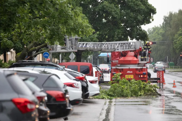 Vatrogasci imaju pune ruke posla: Nevrijeme sru&scaron;ilo stablo na parkirane aute u Zagrebu