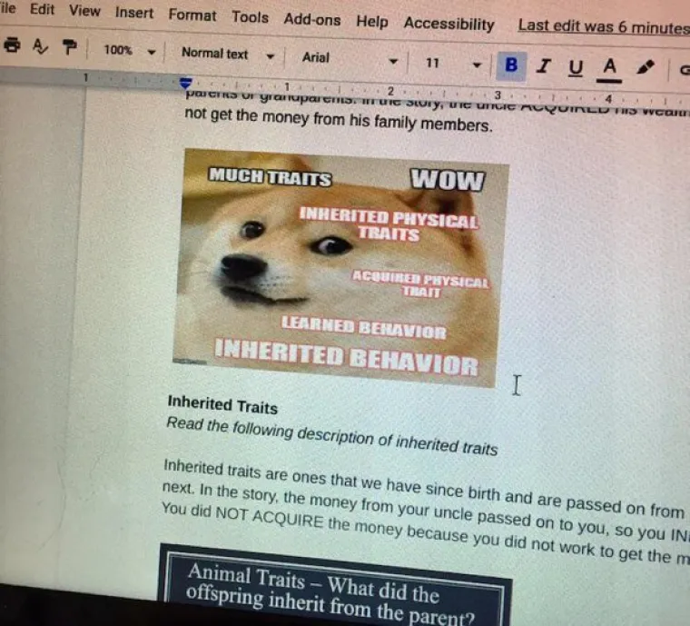 KADA UČITELJI OTKRIJU MEMEOVE: Na sve načine poku&scaron;avaju zainteresirati učenike, ali ovo je jednostavno prebolno za gledati