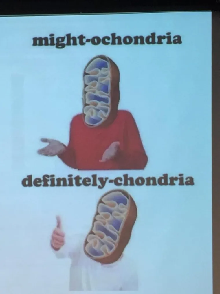 KADA UČITELJI OTKRIJU MEMEOVE: Na sve načine poku&scaron;avaju zainteresirati učenike, ali ovo je jednostavno prebolno za gledati