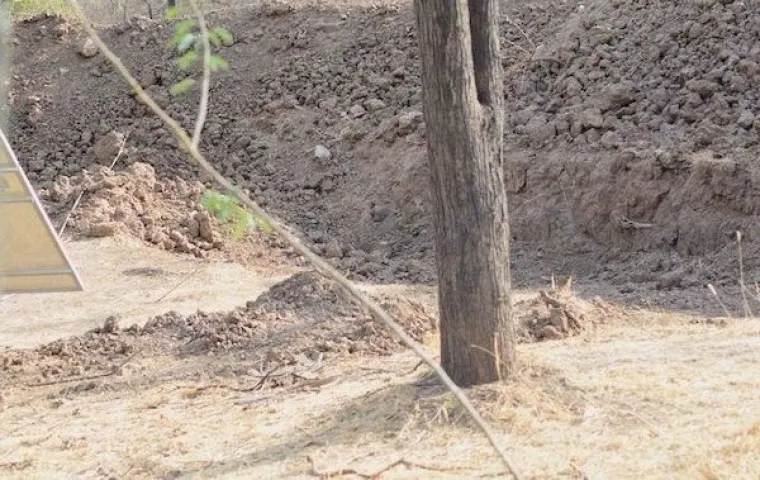 Pronađite leoparda!