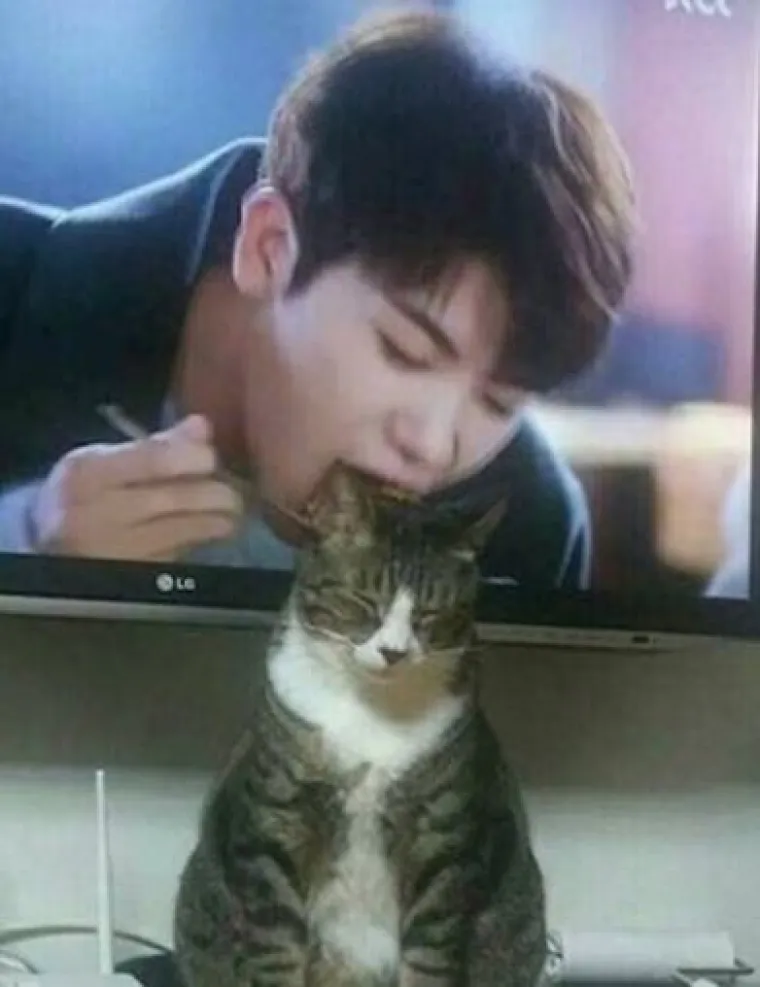 Nije namjerno? Fotografije koje ne potvrđuju onu 'ni&scaron;ta nije slučajno'