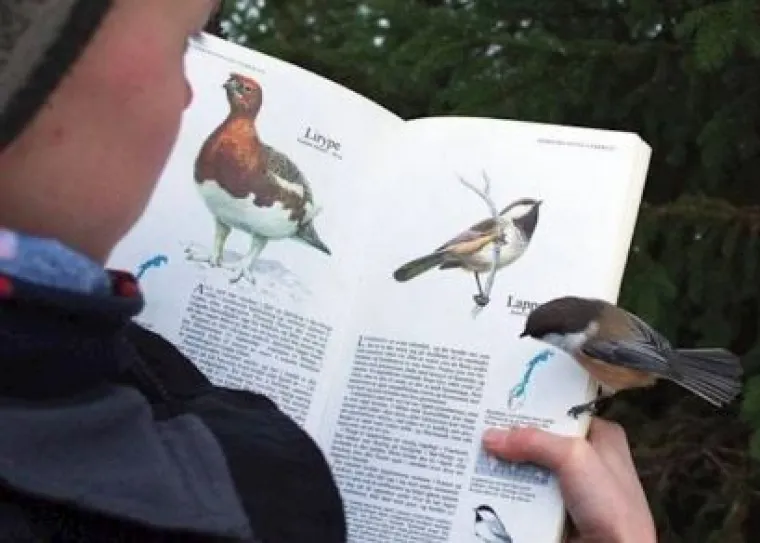 Nije namjerno? Fotografije koje ne potvrđuju onu 'ni&scaron;ta nije slučajno'