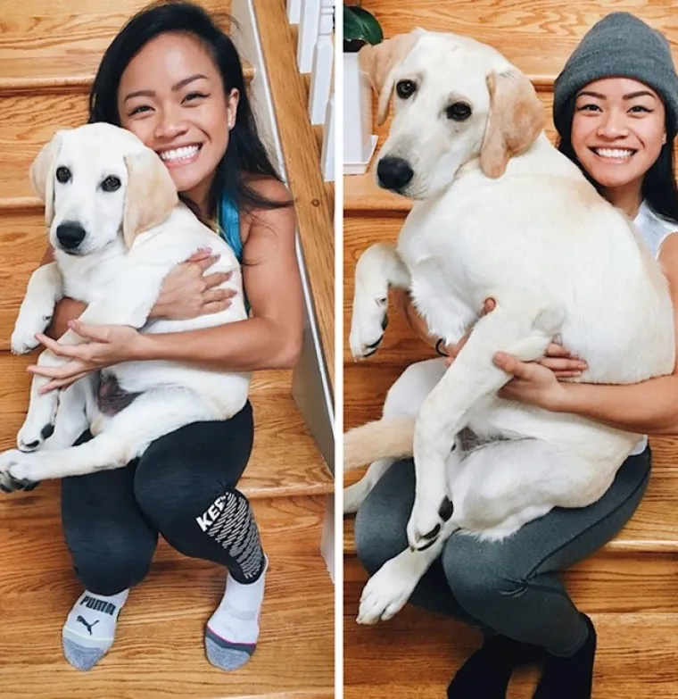 Prije i poslije: Pogledajte slike pasa i njihovih vlasnika dok zajedno odrastaju